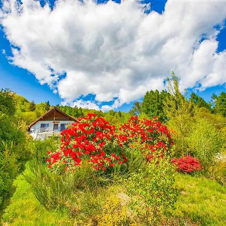 Holiday home Maso